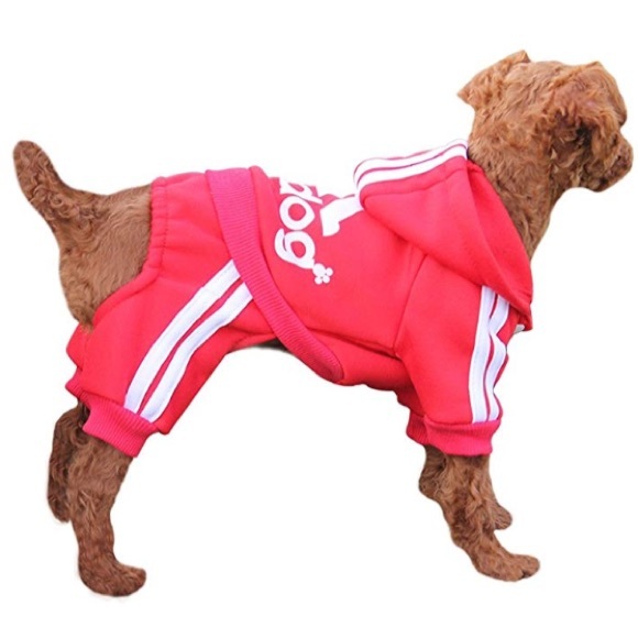 Dog Sweatshirt Hoodie NWT - Picture 6 of 8